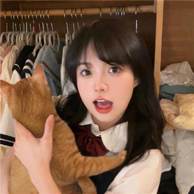 土地
